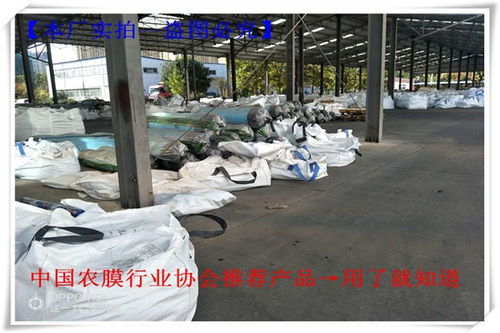 吉隆蘑菇大棚薄膜 农业福音与聊城华塑的优质之选