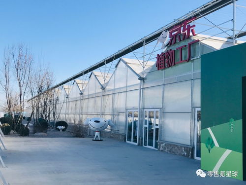 除了人造肉，植物工厂也来了 711和京东如何在卖菜？
