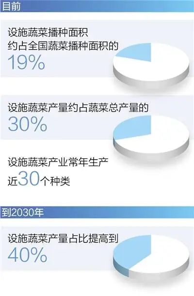 植物工厂有了智慧大脑--《人民日报》关注山东青岛发展智慧设施农业蕴含的巨大生产力