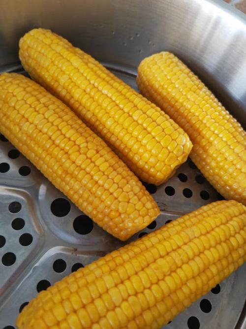 蔬菜笔记 种类、储存与营养全指南